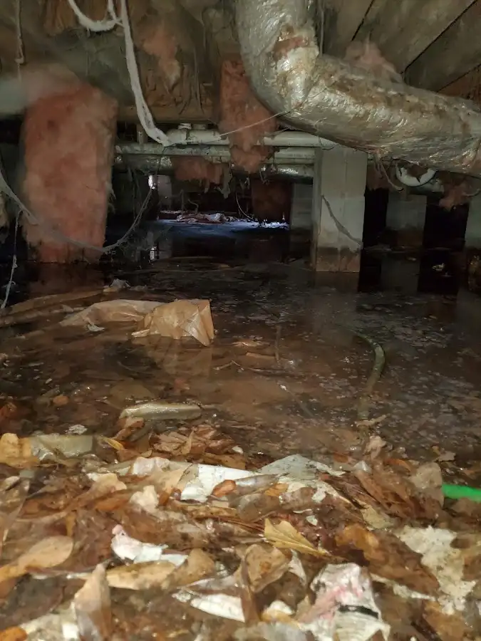 Crawl space flood assessment for Leak Detection & Repair in Independence